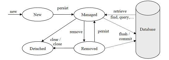 Entity Life Cycle